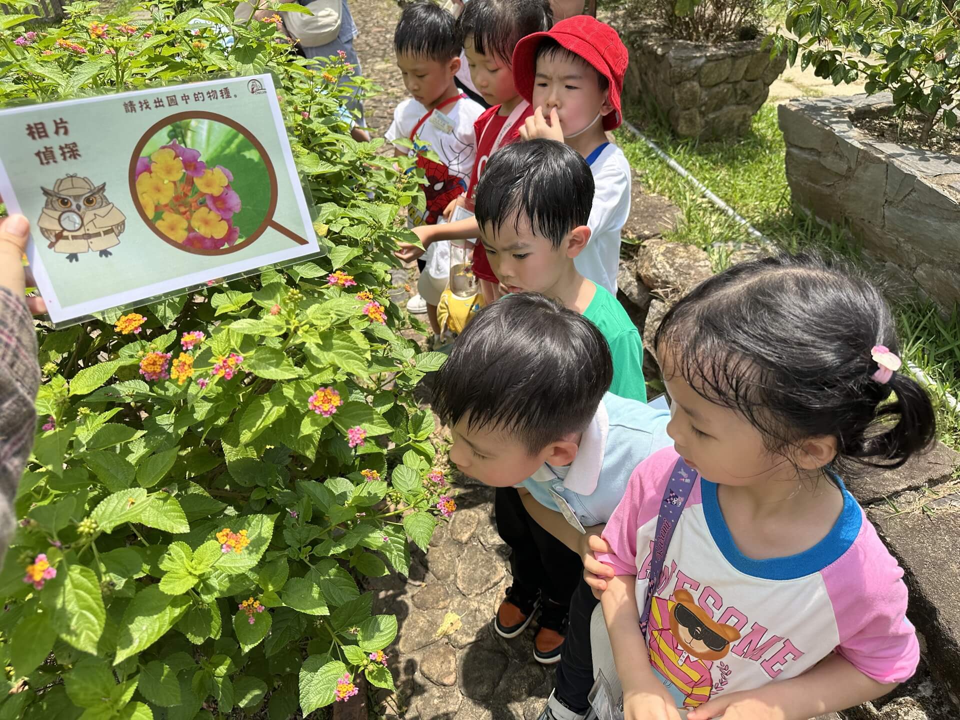 PLK Choi Kai Yau Kindergarten