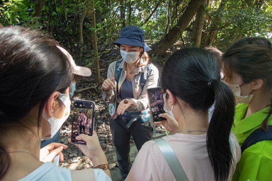 宏福中英文幼稚園