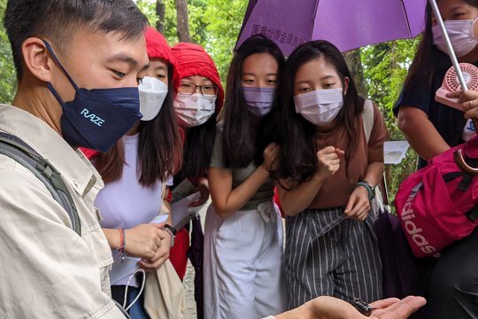 保良局金卿幼稚園