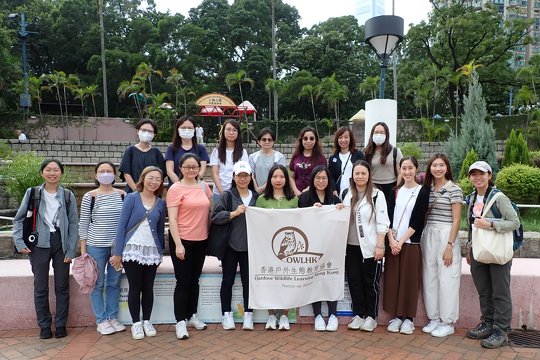 香港教育大學幼兒教育學系