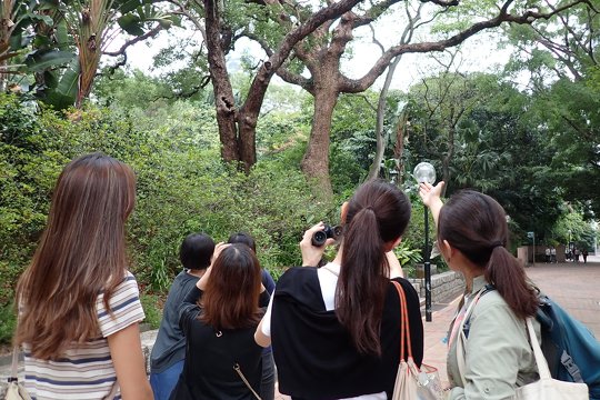 香港教育大學幼兒教育學系
