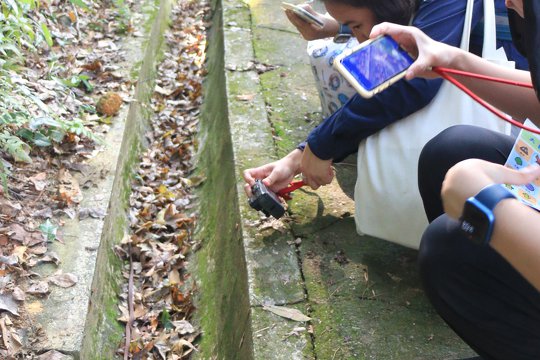 香港基督教服務處大坑東幼兒學校
