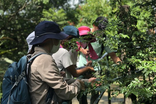 聖公會聖約瑟堂幼稚園