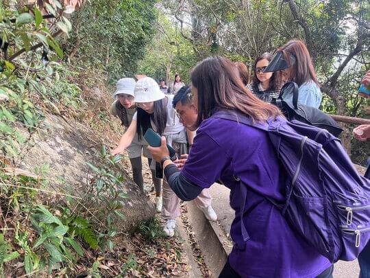 東華三院幼兒園聯校教師培訓