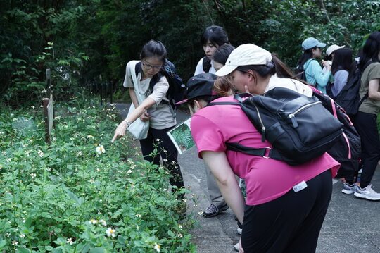 中國基督教播道會茵怡幼兒學校