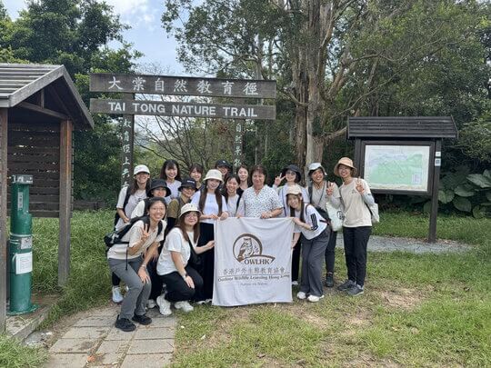 東華三院九龍崇德社幼兒園