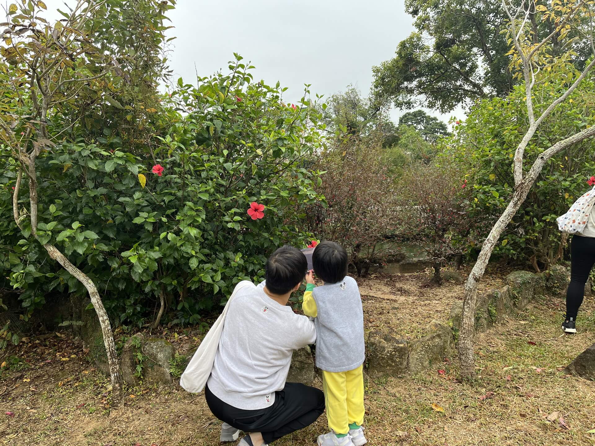 NTW & JWA Leung Sing Tak Anglo-Chinese Kindergarten and Nursery School