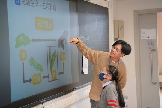小學長期深化課程其他專題