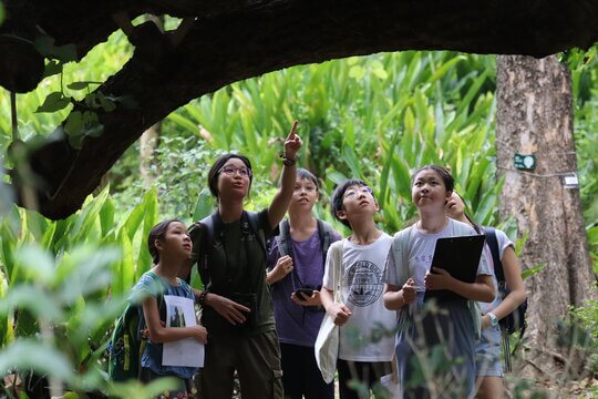 在導師帶領下，學員化身公民科學家，學習昆蟲觀察及調查技巧，並進行記錄。