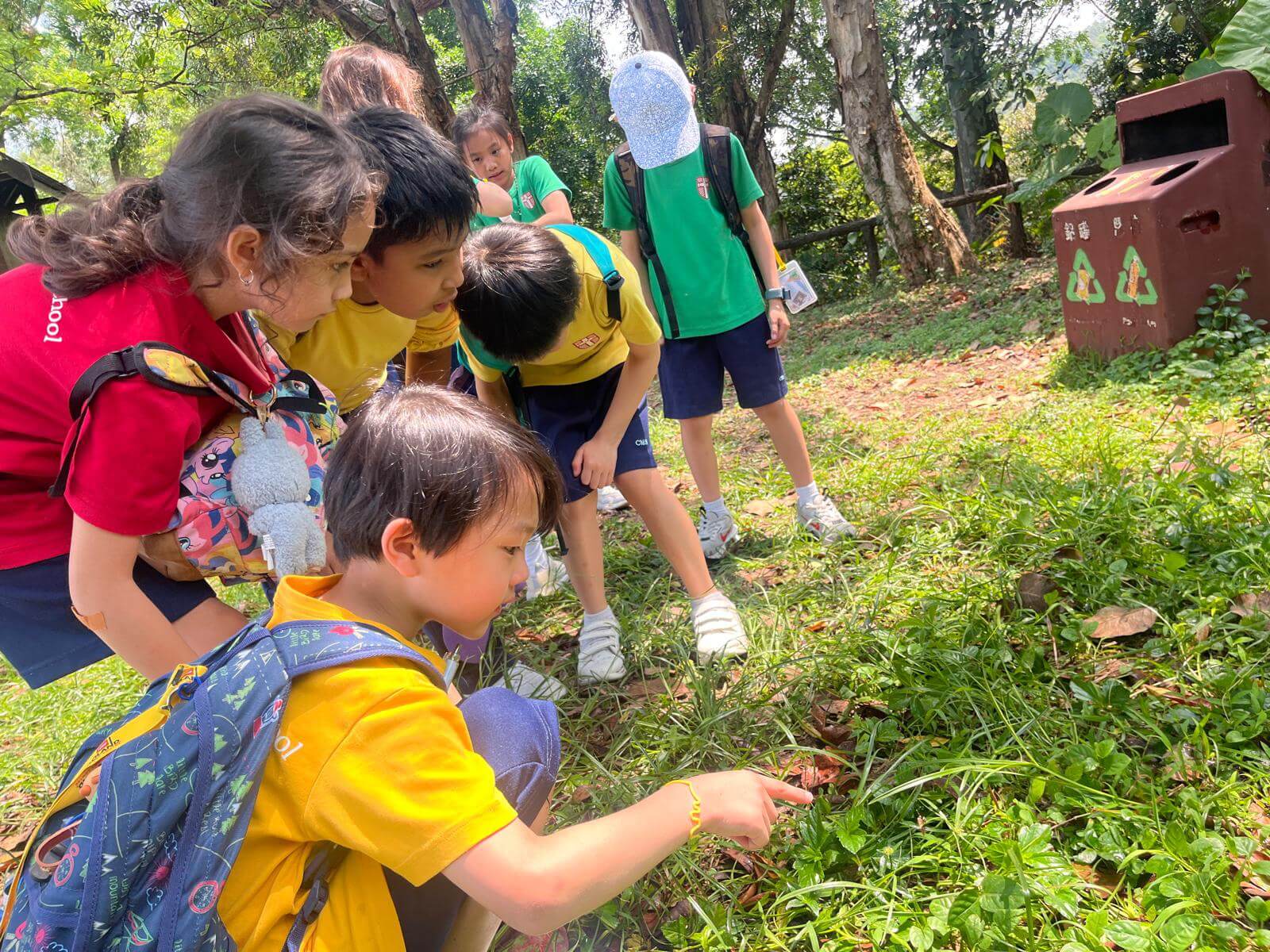 桌遊學習及戶外探索