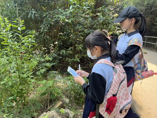 「毛蟲」定向