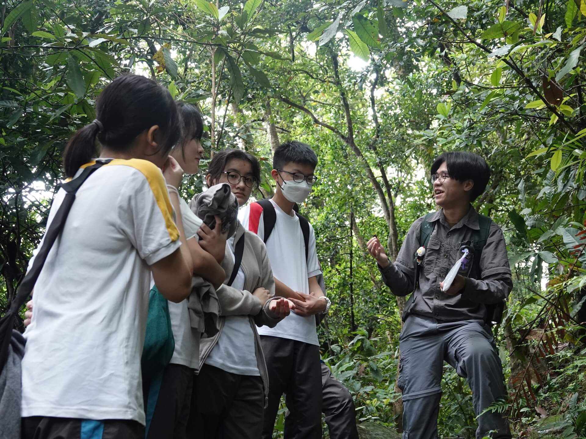 Board Game Learning and Forest Exploration