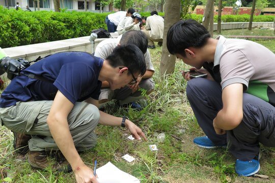 Exploring the Urban Ant Diversity - Training for Secondary School Teachers