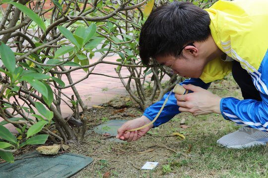 Exploring the Urban Ant Diversity - Training for Secondary School Teachers