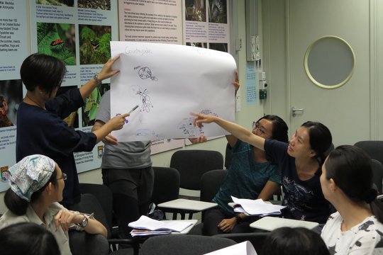 Exploring the Urban Ant Diversity - Training for Secondary School Teachers
