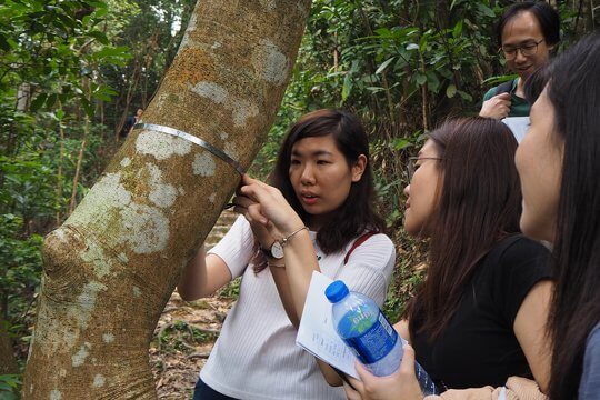 Training and Professional Development for Teachers from Macau