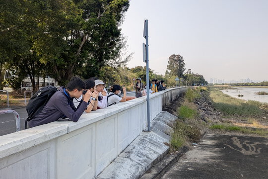 學員於觀鳥勝地南生圍觀賞雀鳥多樣性的同時，現場觀察並反思外來入侵植物「海桑」如何逐步蠶食雀鳥的棲息地。
