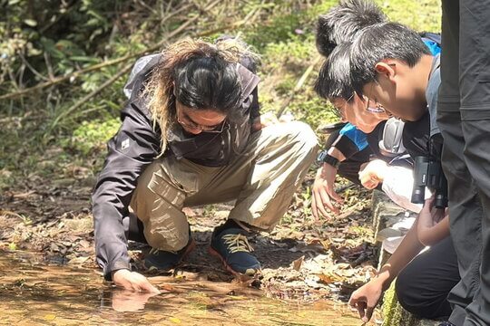 實地觀察本地河溪生態，學習辨識與比較原生種與外來種的生存現狀。