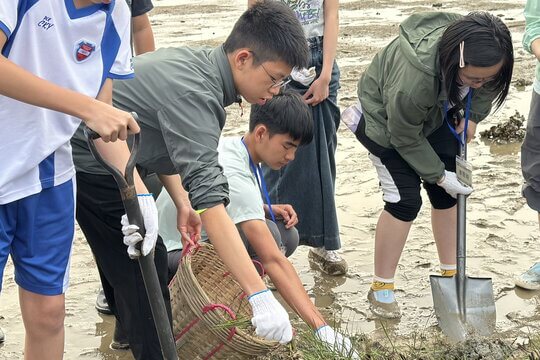 學員親身體驗移除外來入侵植物「大米草」的保育行動，為保護本地泥灘出一分力。