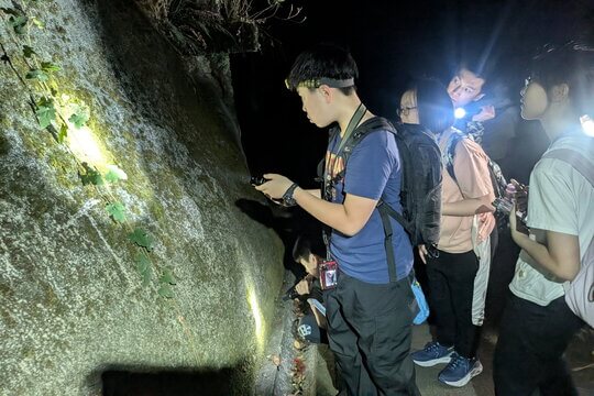 展開精彩的夜間生態觀察，搜尋並記錄在夜幕下出沒的本地及外來夜行生物。